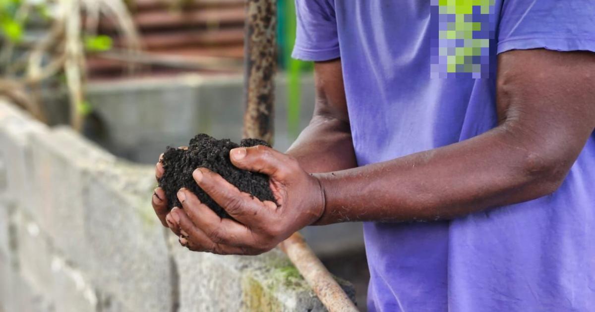 Orlay, jeune agriculteur en reconversion en Martinique : « il n’y a pas d’accès au terrain »