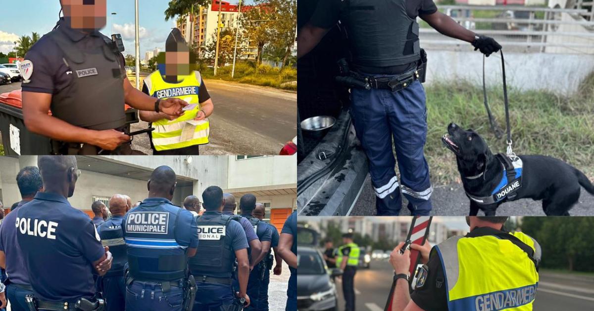 Opération « Place Nette » à Lauricisque, Pointe-à-Pitre : 192 personnes contrôlées