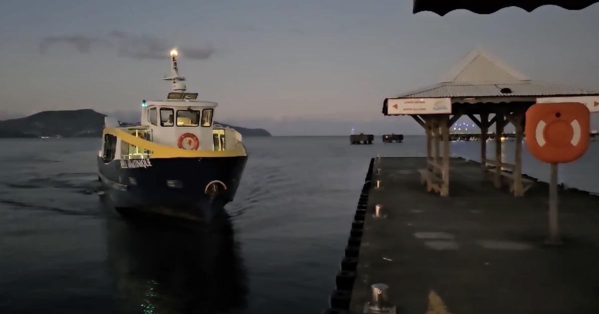 Transport maritime à Fort-de-France : nouveau délégataire, nouvelles lignes et nouveaux bateaux