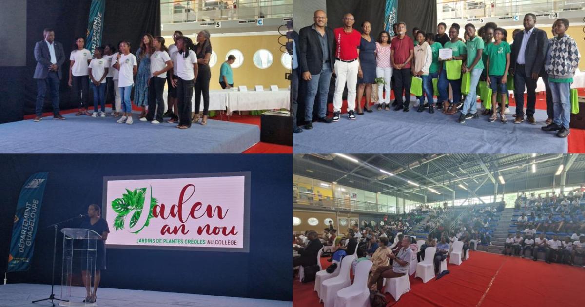 « Jaden an nou » : les collégiens à la découverte des plantes créoles de Guadeloupe