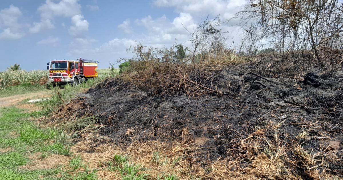 Trois hectares de broussailles partent en fumée à Rivière-Salée