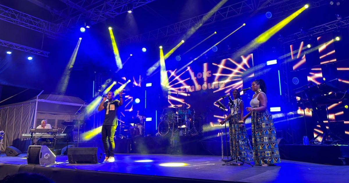 Première nuit de feu au festival Terre de Blues