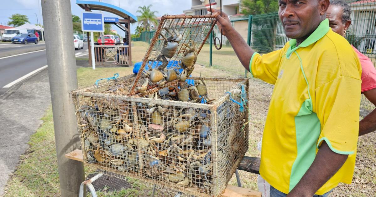 Pentecôte : le crabe sera à l’honneur sur les tables de fête