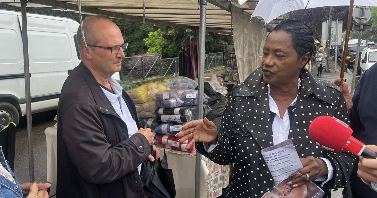 Législatives : candidate LR-RN dans les Yvelines, Babette de Rozières fait campagne