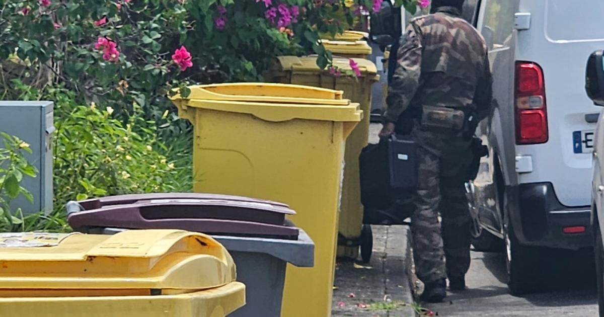 La forcenée de Sainte-Luce interpellée par les gendarmes