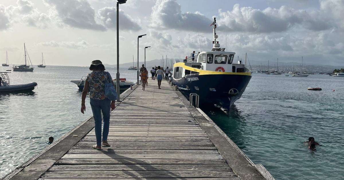     





Les vedettes Blue Lines à quai à cause d'une grève des marins




