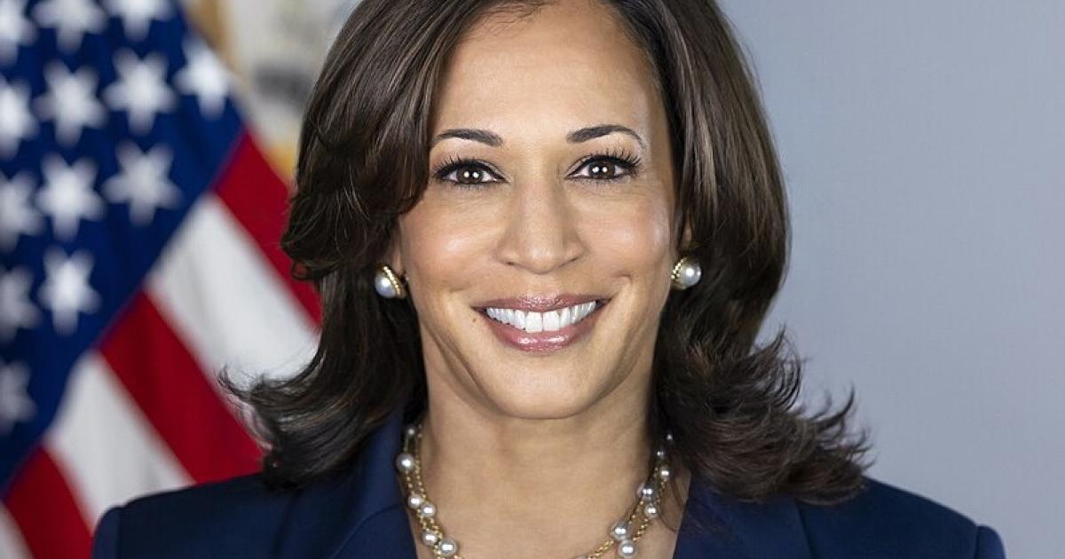 Etats-Unis : 5 choses à retenir sur Kamala Harris, probable candidate à la Maison Blanche