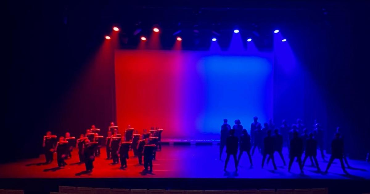 Trois soirs de représentation pour « Murmuration » au Festival Culturel de Fort-de-France