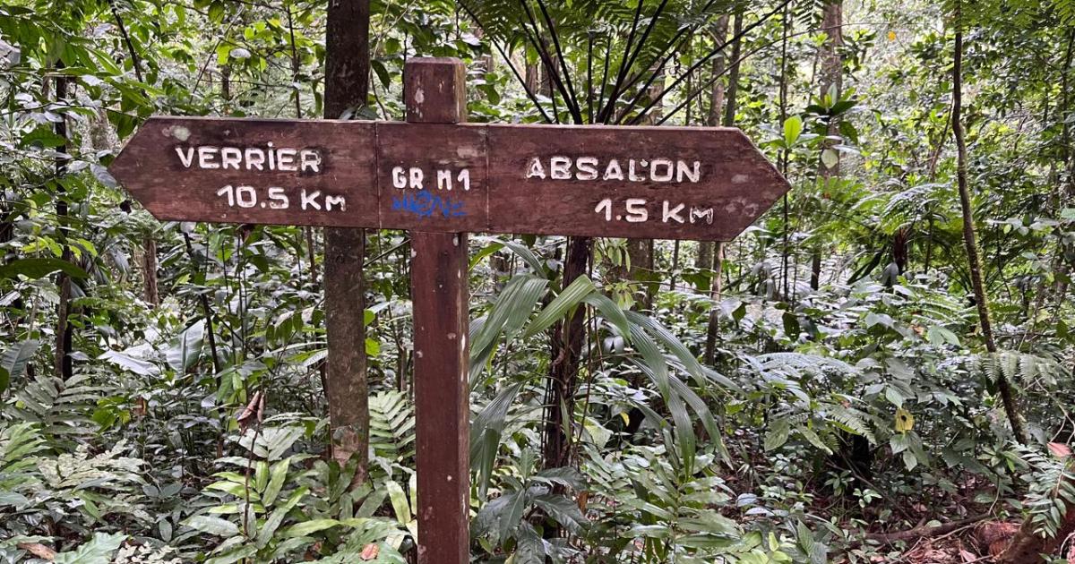 Un couple de randonneurs recherché au niveau d’Absalon