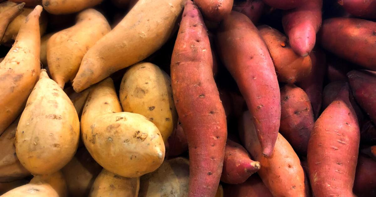 Contrôles des denrées alimentaires en Martinique : antibiotiques, pesticides et chlordécone retrouvés