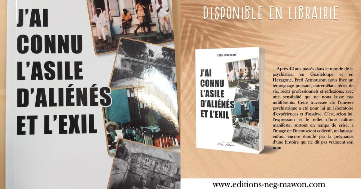 La psychiatrie, le fil rouge du livre de Fred Armougon