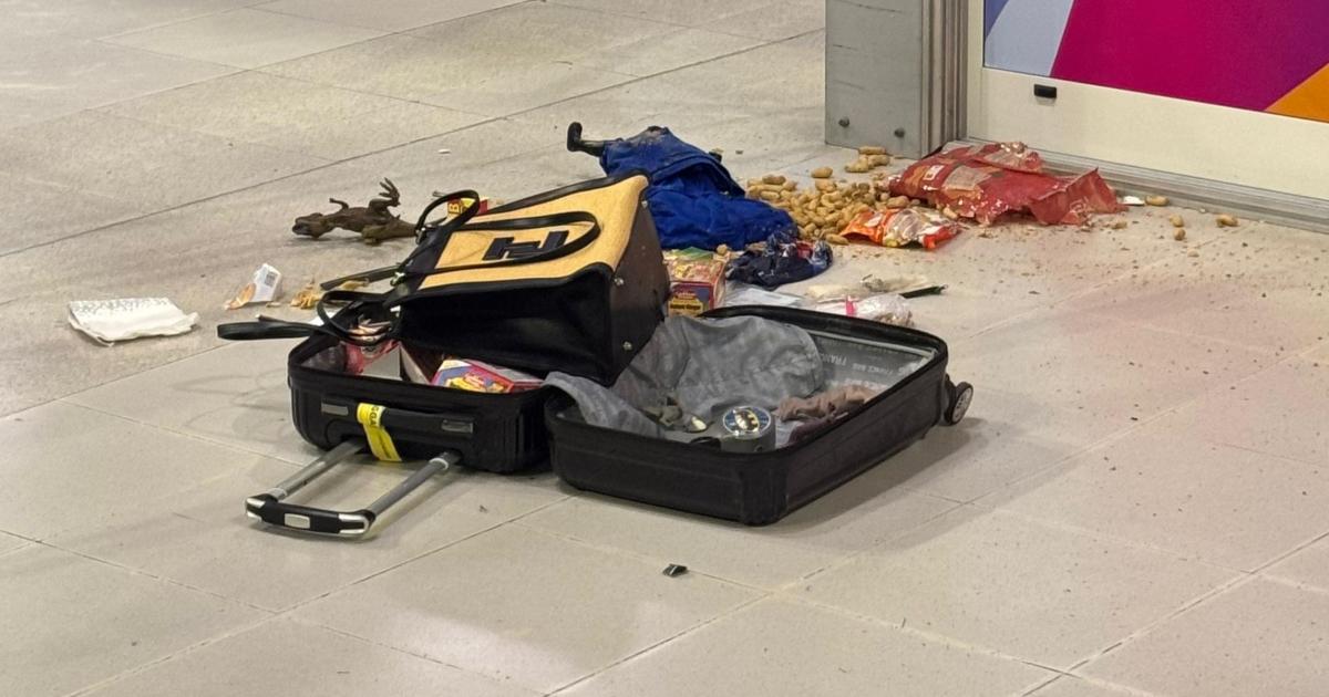 Un bagage suspect suspend l’activité de Pôle Caraïbes pendant plus d’une heure