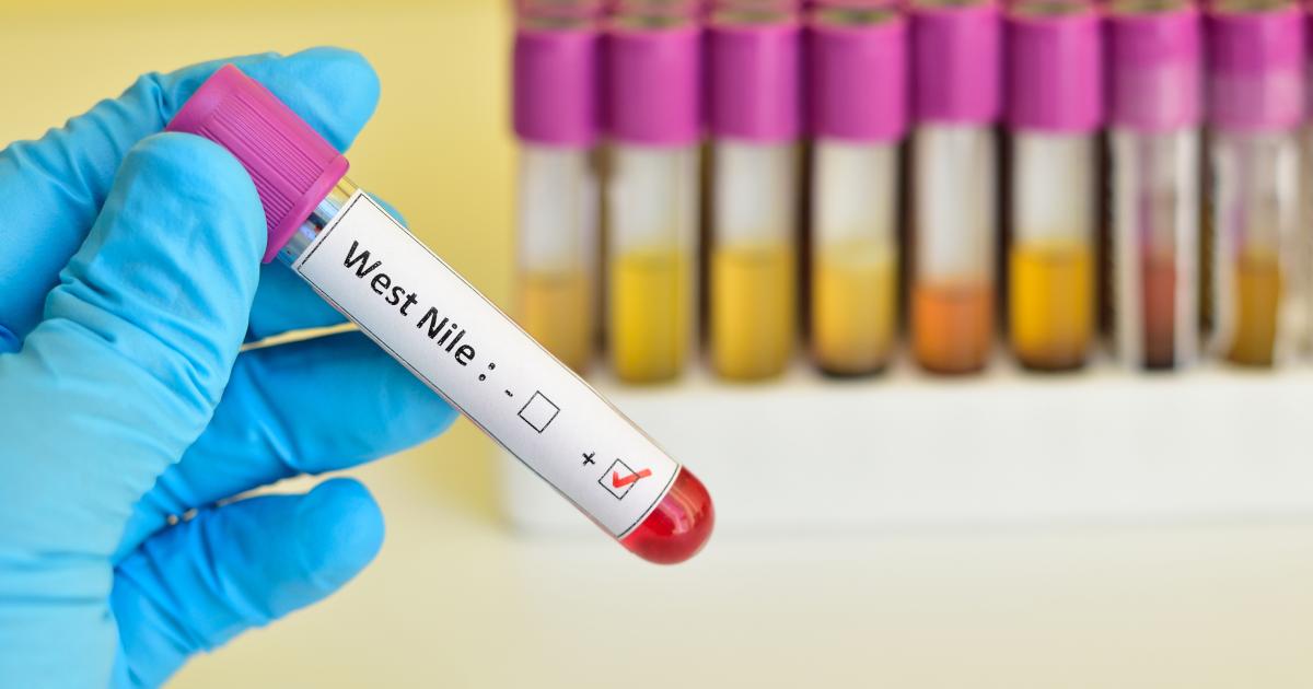 Un premier cas du virus West Nile détecté en Guadeloupe