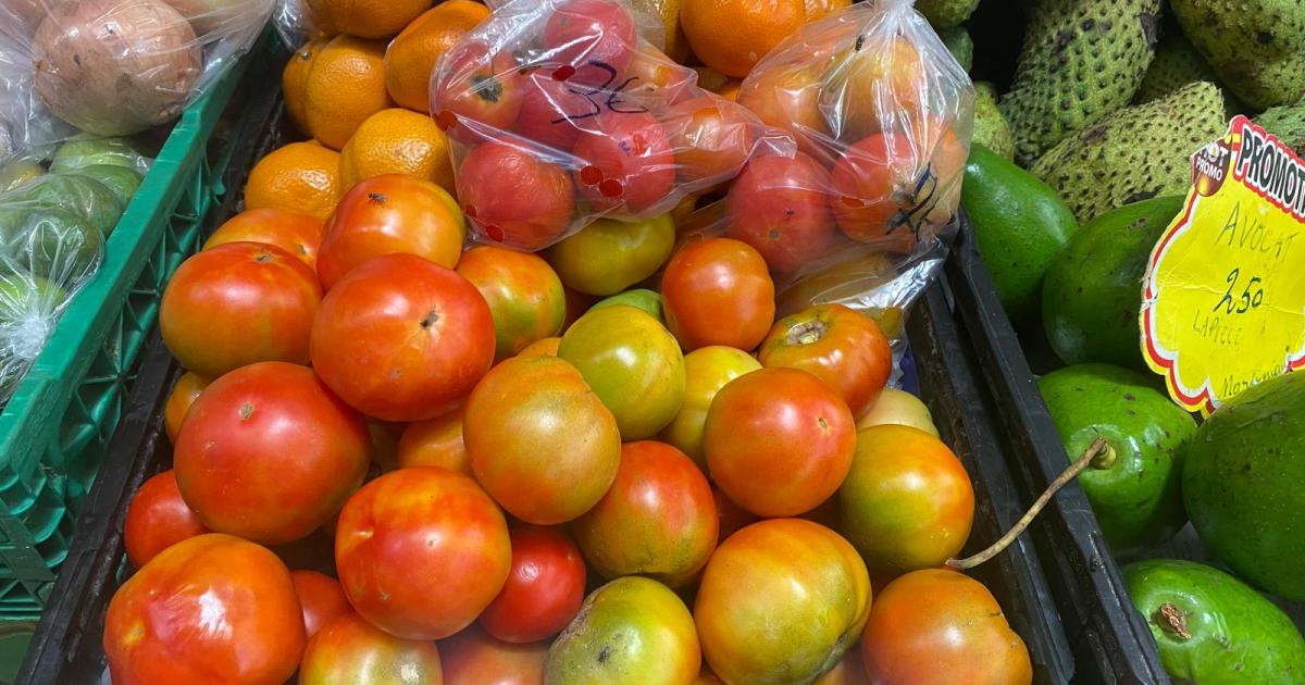 Autonomie alimentaire et production saine en Martinique : un grand séminaire à l’Université des Antilles