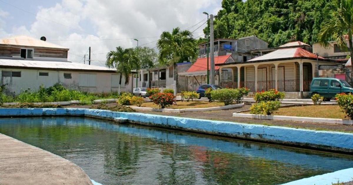 Loto du patrimoine : le bassin naturel d'eau douce de Morne-à-l’Eau va être restauré