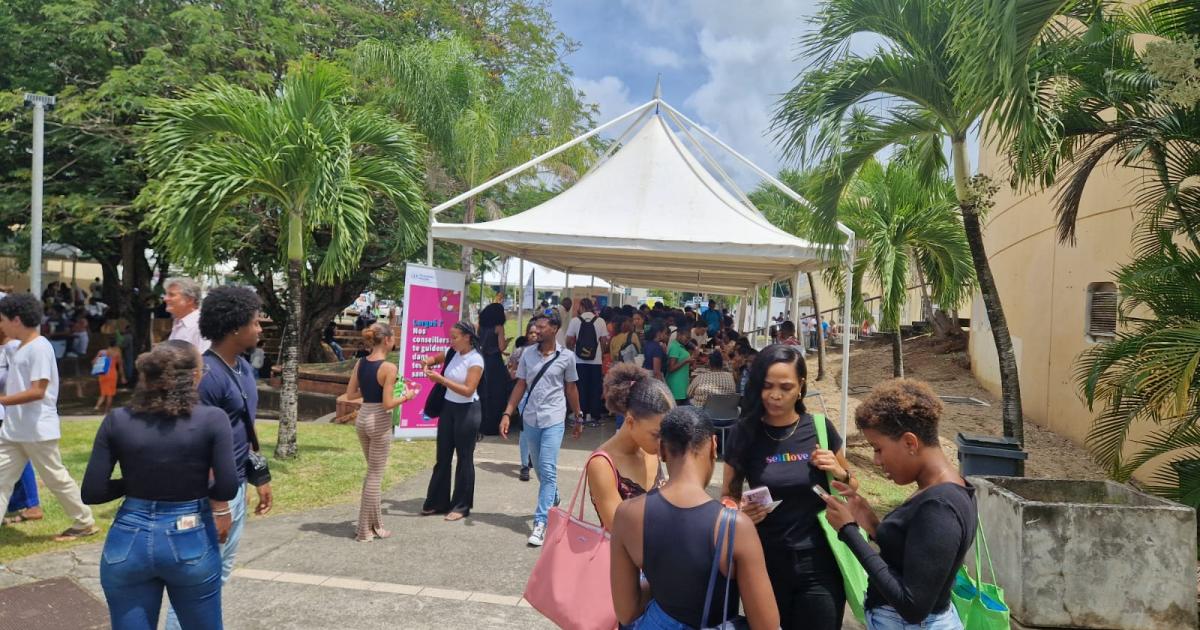     





Journée d’intégration pour les nouveaux étudiants de l’université de Martinique




