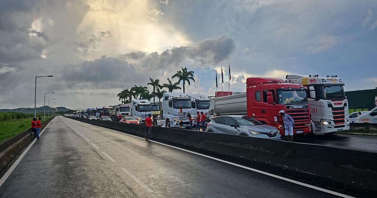Vie chère : plusieurs dizaines de poids lourds convergent vers Fort-de-France ce mardi