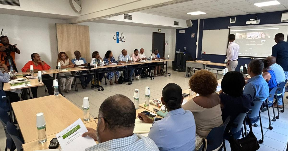 Les maires de Martinique se penchent sur « le poids de l’Octroi de Mer dans la formation des prix
