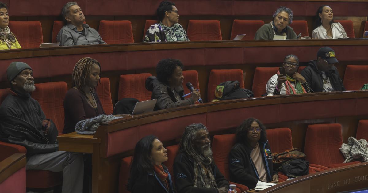 « Lakou », le nouveau réseau associatif ultramarin qui a été créé pour peser