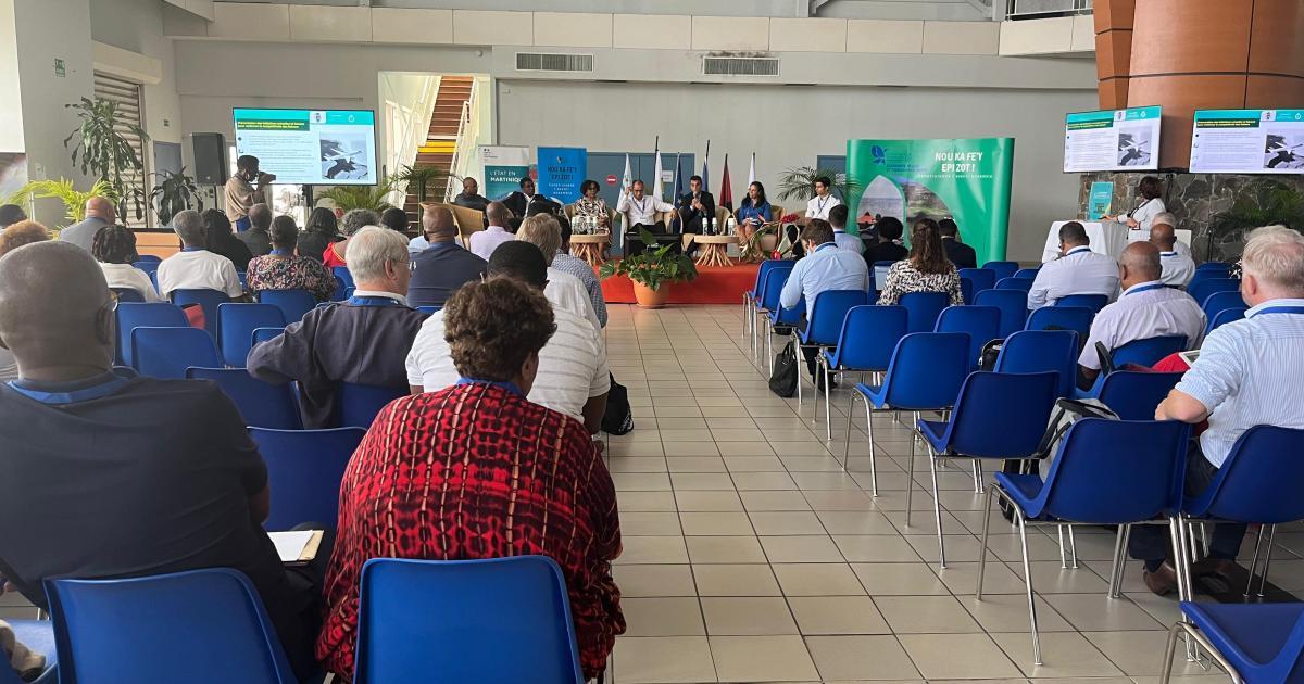 Continuité territoriale et prix des billets d'avion, enjeux majeurs de la 1ère conférence sur l’aérien aux Antilles-Guyane