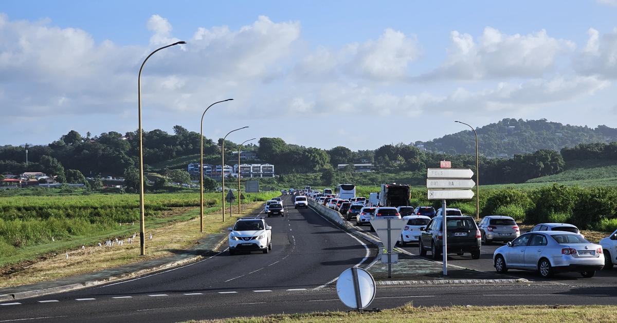 Opération « île morte » : le point sur la situation