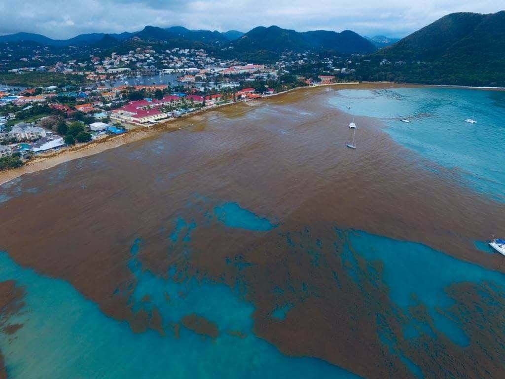 Rodney Bay