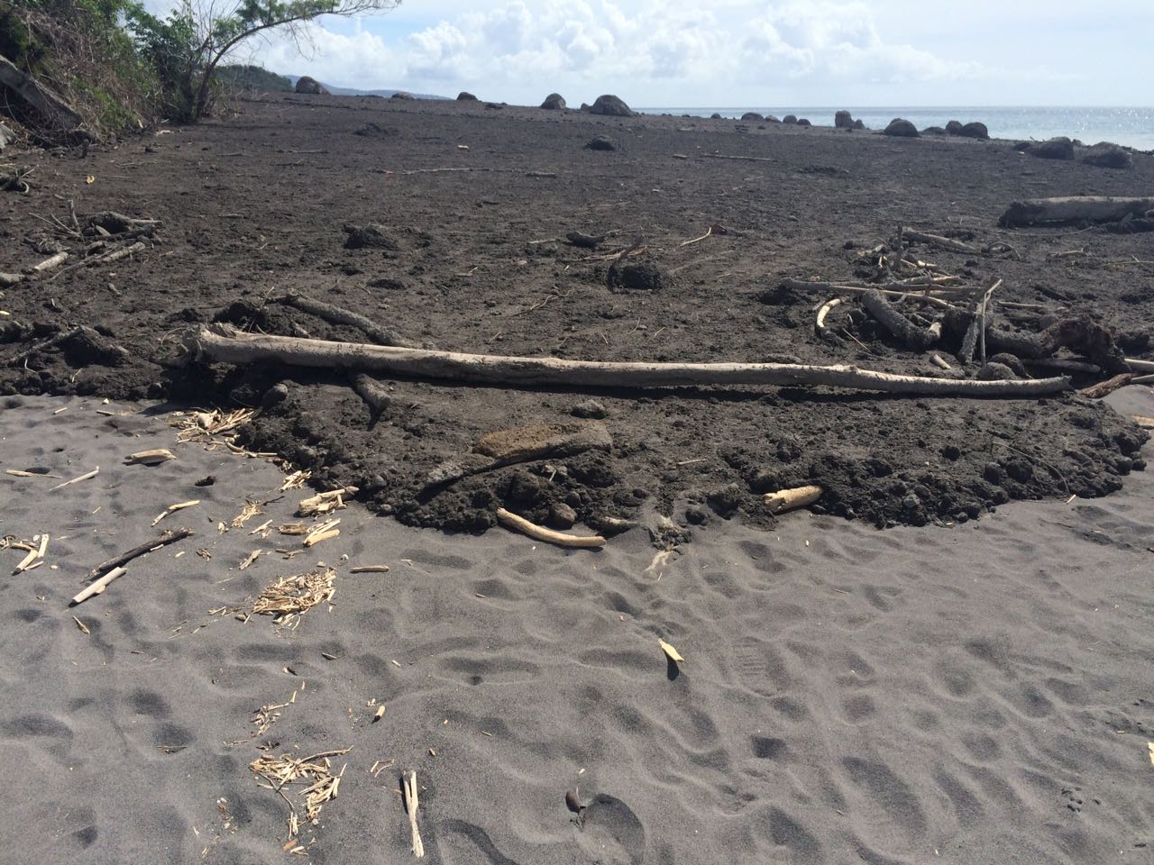 Détritus plage Prêcheur