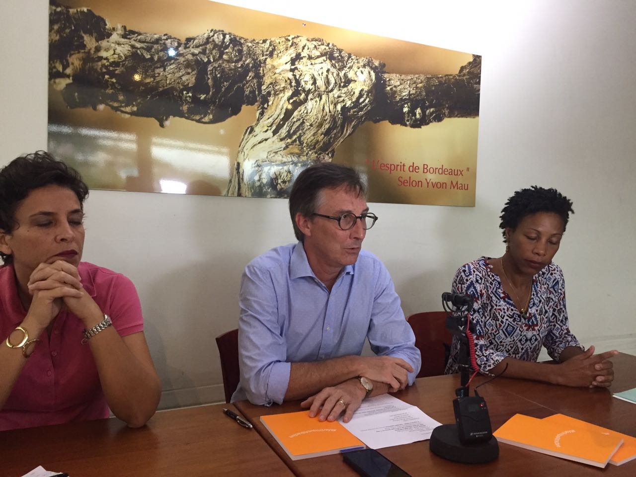 Présentation de l'ouvrage #MartiniqueAttractive