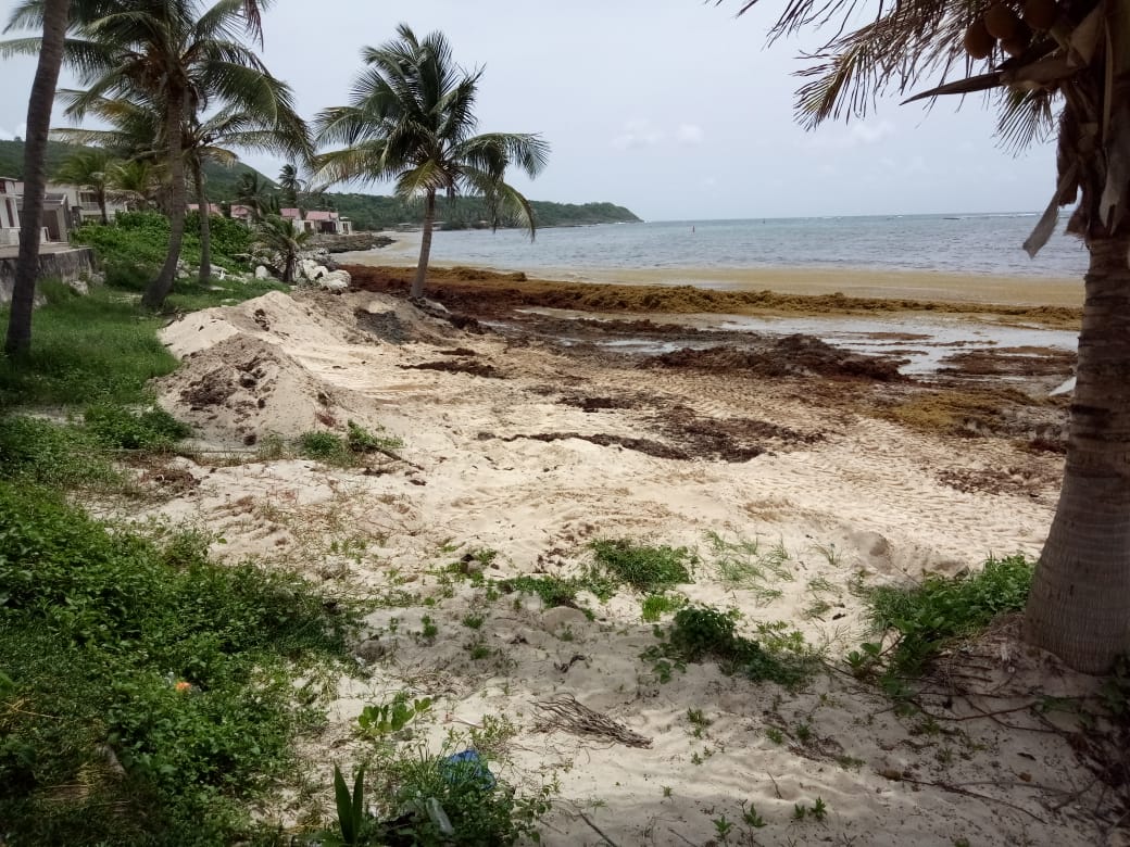 Plage de Grande Anse