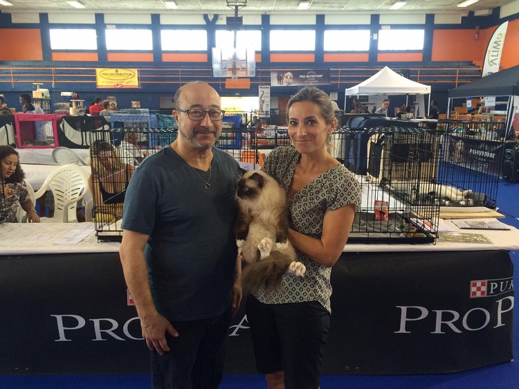 salon international du chat