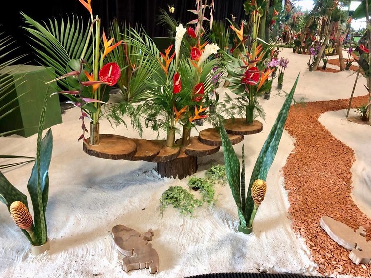 Grand prix d'honneur pour le PNR MARTINIQUE