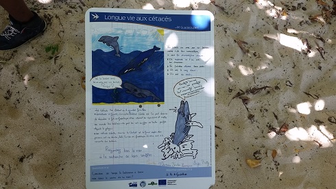 Panneau installé par les élèves sur la plage
