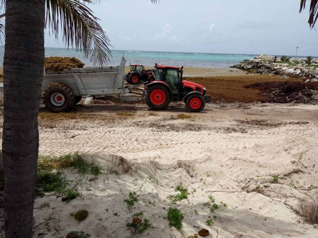 Plage de Grande Anse