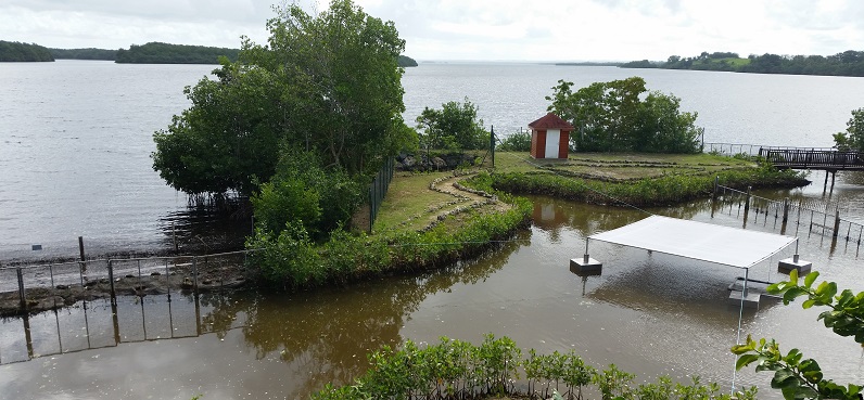 Bassin initial (semi-ouvert) de Kai à Blachon. Il vit maintenant dans un nouveau bassin fermé et rempli d'eau douce.