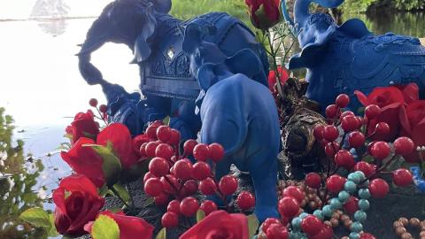ELEPHANTS BLEUS 3