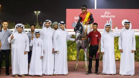 purebred arabian handicap