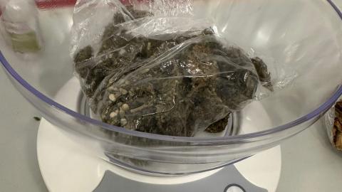 drogue cannabis 