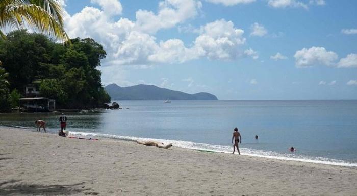 100% des eaux de baignade en Martinique conformes