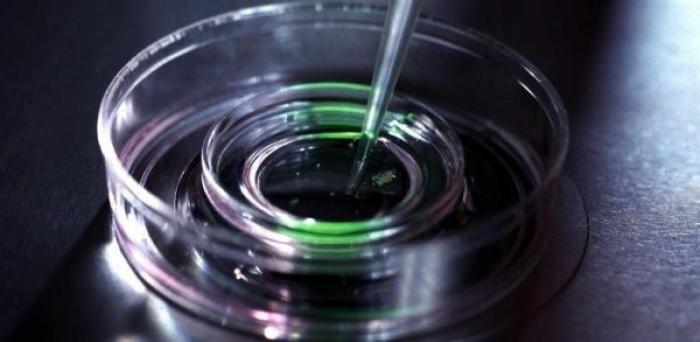 150 fécondations in vitro sont en attentes en Martinique