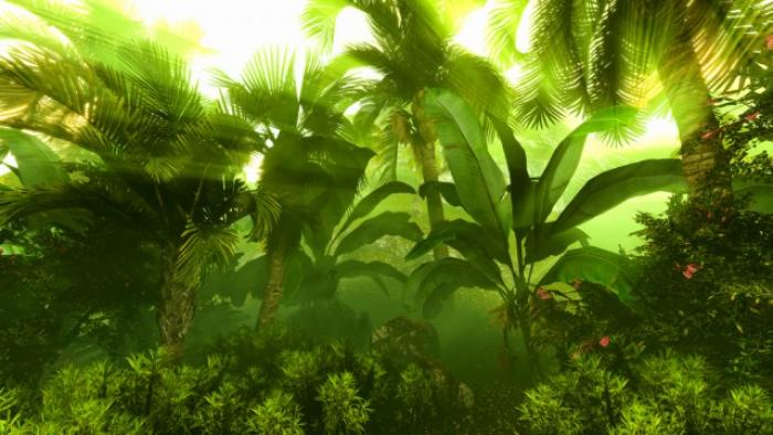 166 espèces de la faune de Guyane menacées