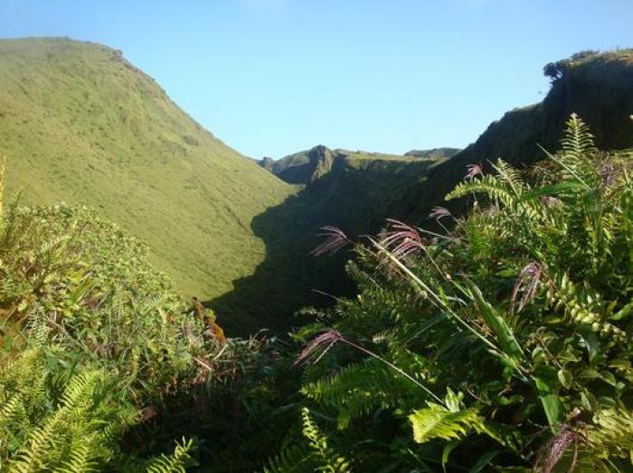Montagne pelée