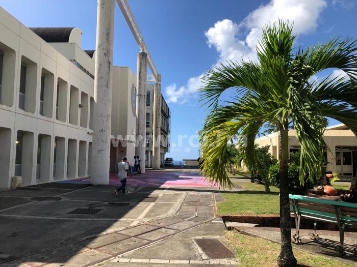 université des Antilles