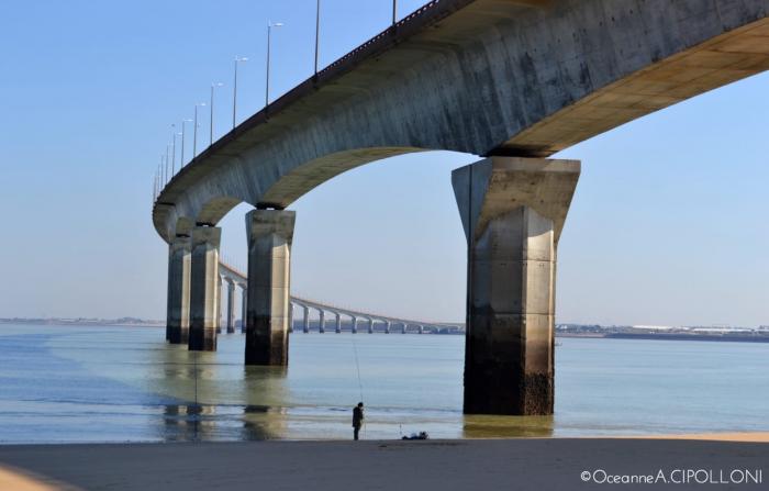 Le pont de l'île de Ré