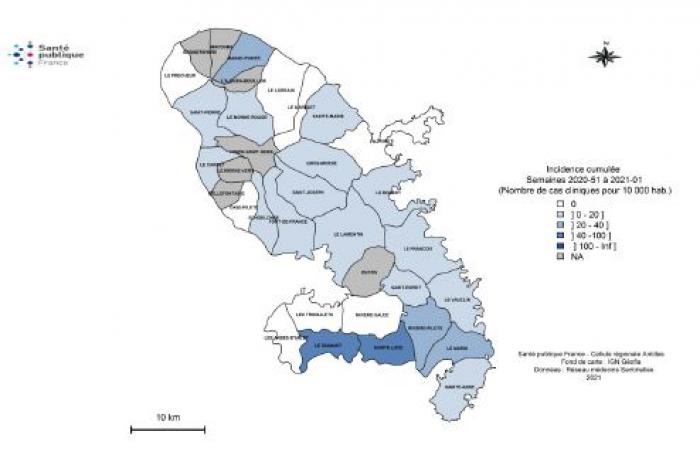 carte dengue janvier 2021