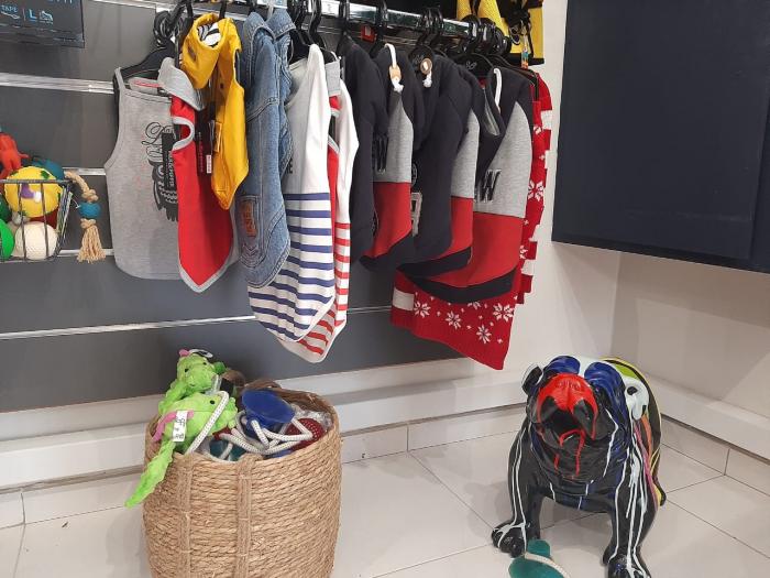 Vêtements pour chiens ©RCI Martinique