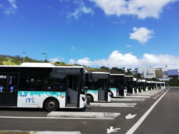 bus martinique transport