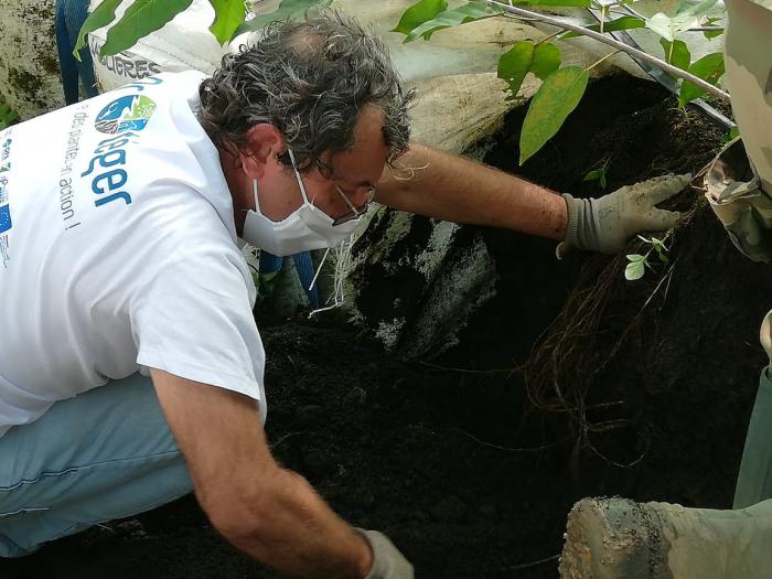 excavation