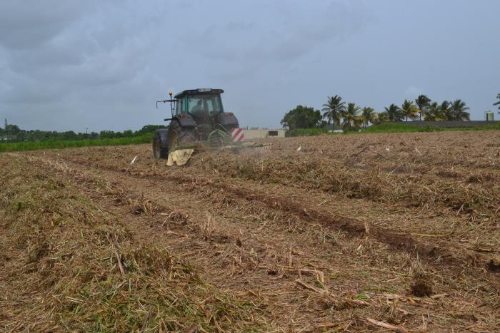 fenaison.JPG : Solenn COINT Institut technique de l'élevage (ITEL)