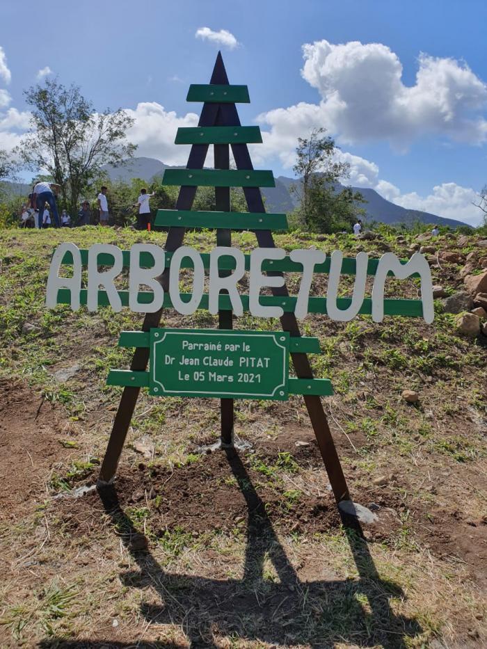 arbres PITAT