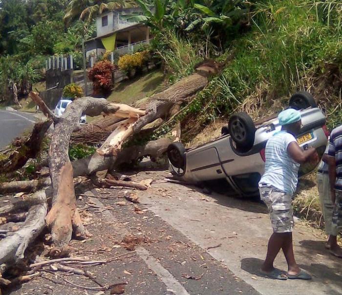 accident arbre voiture morne pitaut
